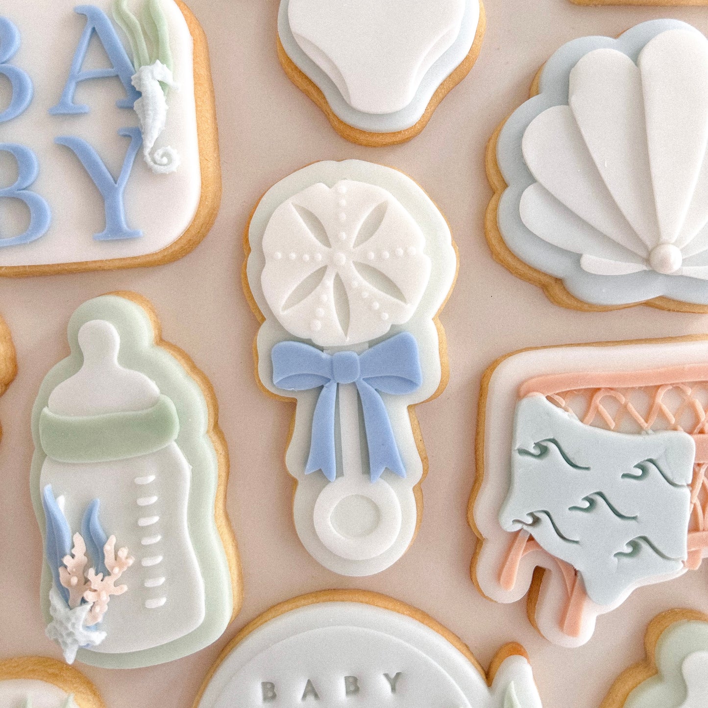 Sea Coin Shell Baby Rattle